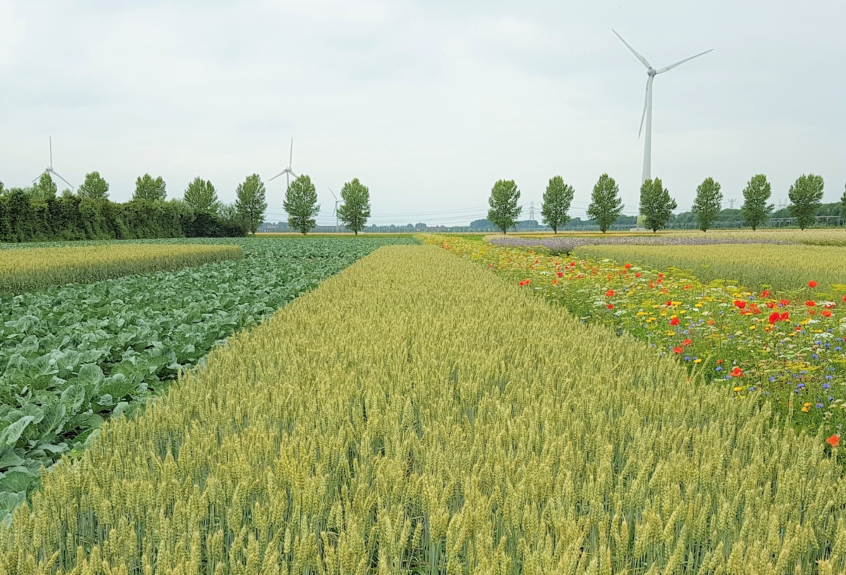 Webinar Natuurinclusieve Landbouw: wat levert het op voor jouw bedrijf?