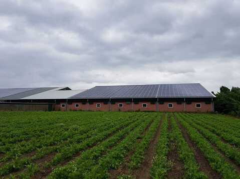 'Zonnig Kromme Rijn' legt 1.700 zonnepanelen op staldak Bunnik