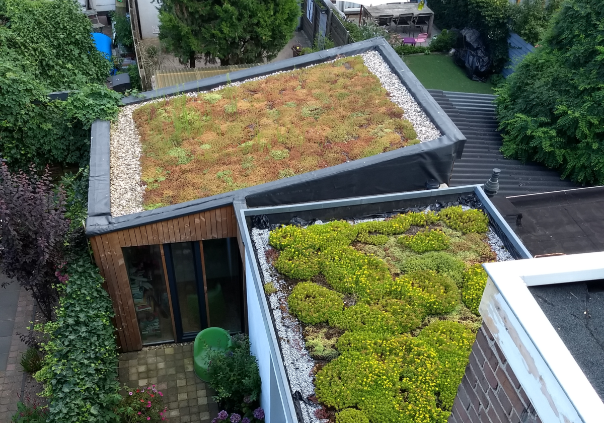 NMU zoekt (plek voor) groene daken in de provincie Utrecht!