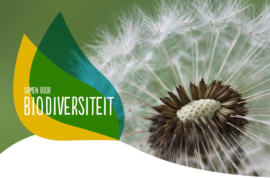 Deltaplan voor biodiversiteit in Nederland wordt opgepakt in Utrecht