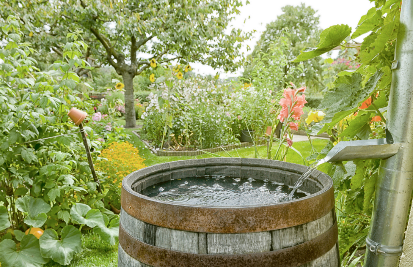 Webinar: Jouw tuin klimaatproof – De watervriendelijke tuin