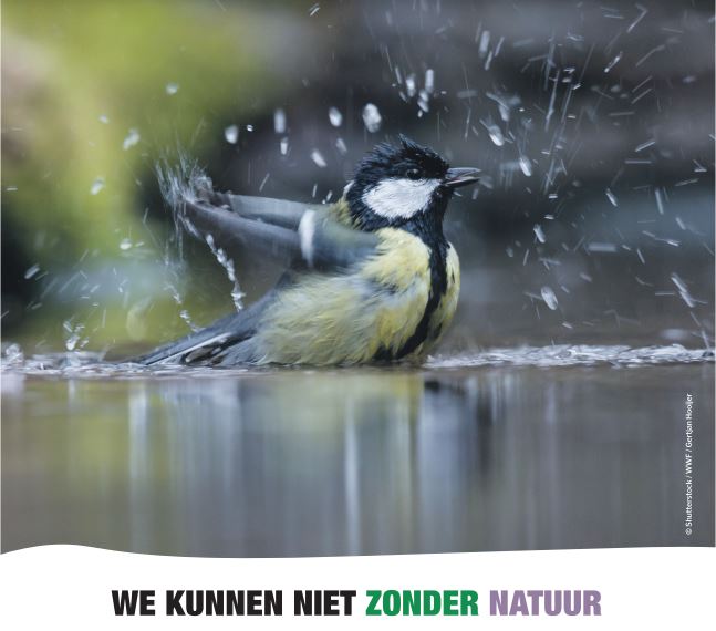 Namens miljoenen Nederlanders roepen 64 organisaties het kabinet op om door te pakken met natuurherstel