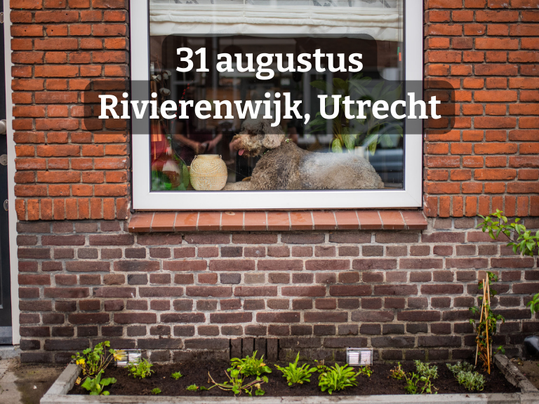 Geveltuinworkshop | voor inwoners Rivierenwijk Utrecht