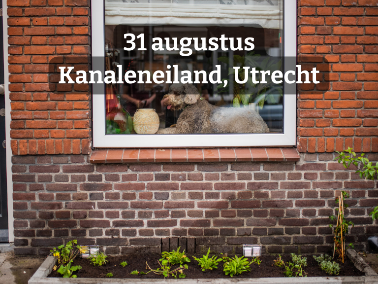 Geveltuinworkshop | voor inwoners Kanaleneiland Utrecht