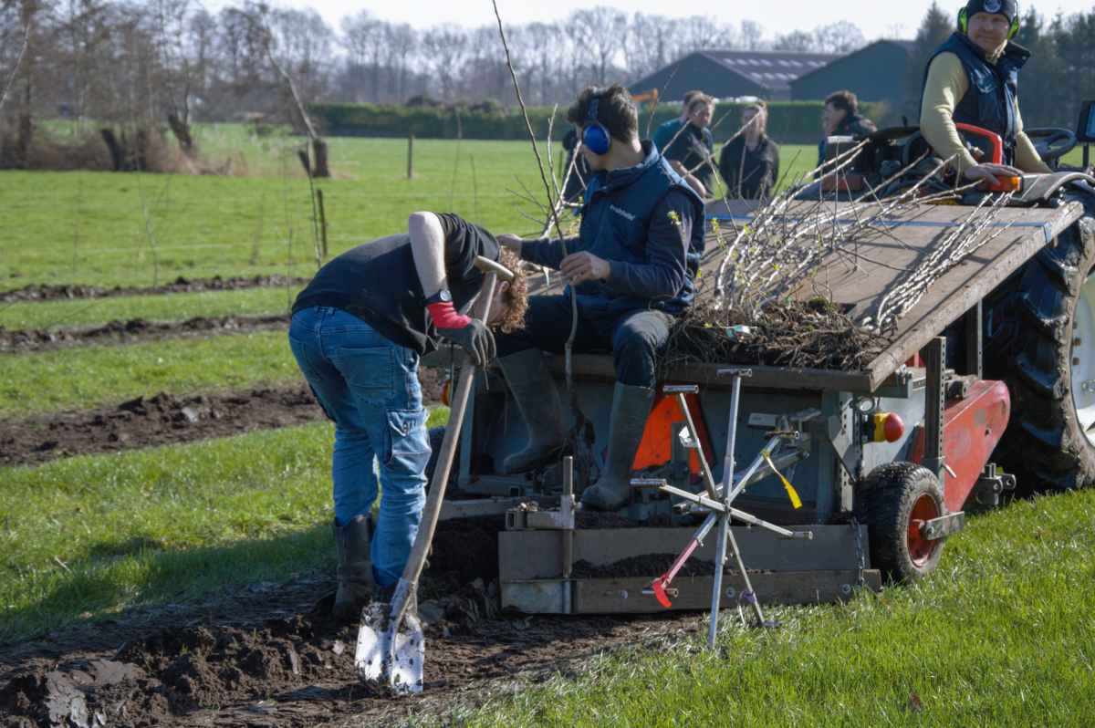 Agrariërs rond de Utrechtse Heuvelrug opgelet: experimenteer dit najaar voordelig met agroforestry op jouw bedrijf!