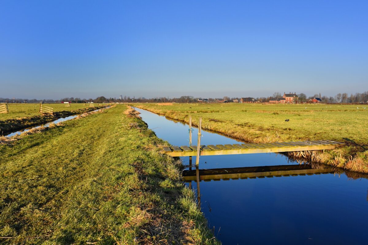 Minister Wiersma: zorg voor gezond water, gezonde bodem, gezonde lucht en gezond voedsel voor alle inwoners, planten en dieren van dit land